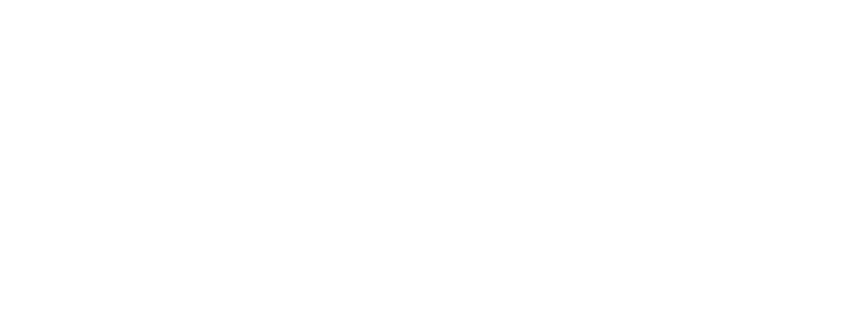Boxenstop24 Logo